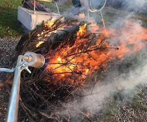 Afbrændt juletræ på bestilling af Mungo Park